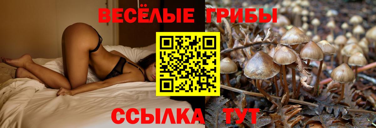 Галлюциногенные грибы мухоморы Вязьма